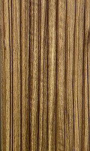 ����� ��� ������� ����� ��