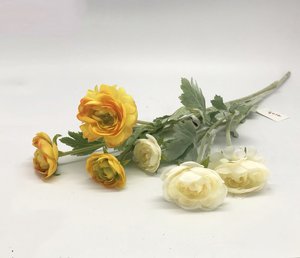 ענף פרח צהוב וירוק ענף פרח צהוב וירוק