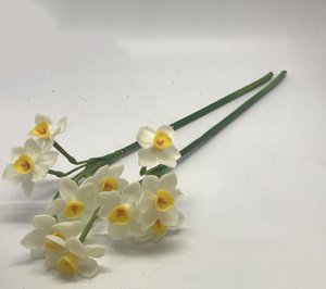 ��� �� ������